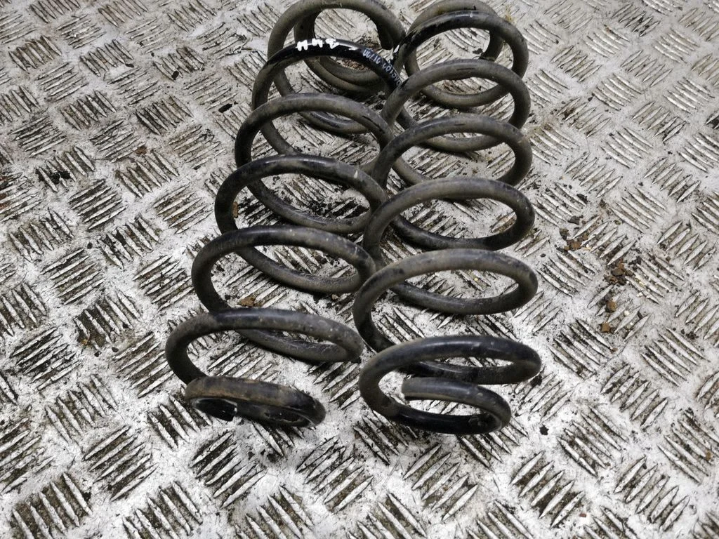Rear coil spring