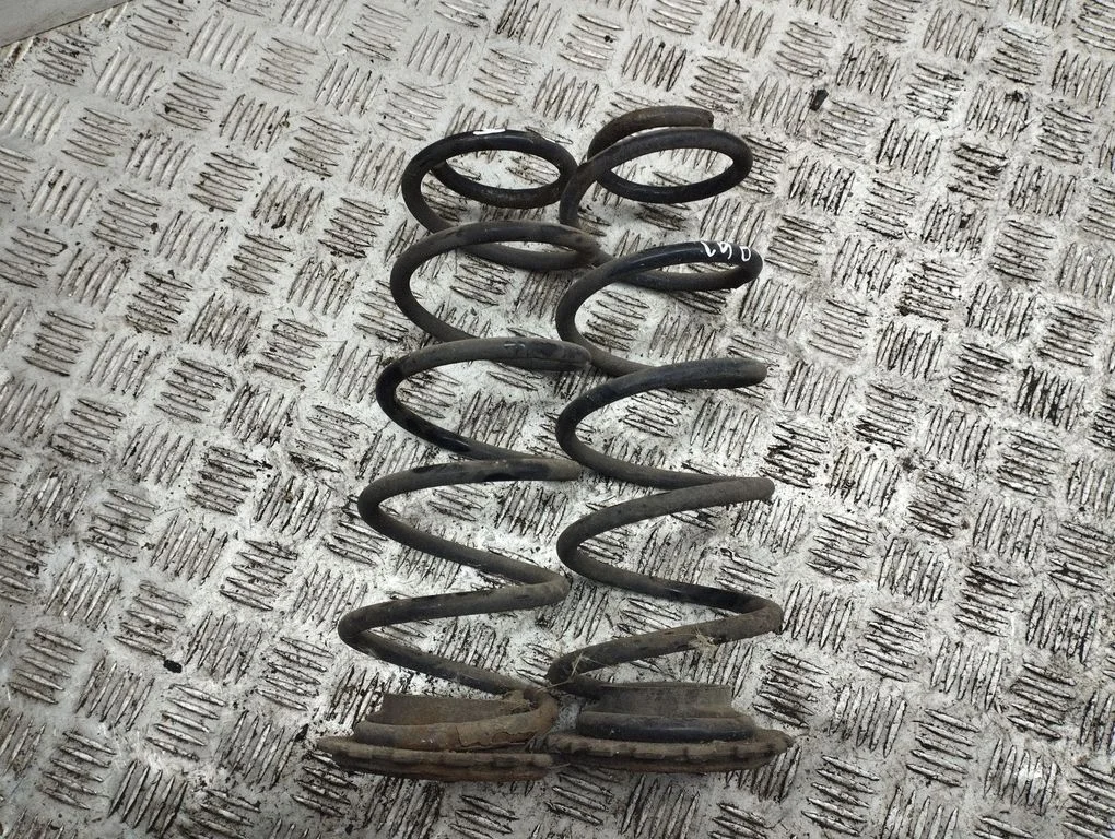 Rear coil spring