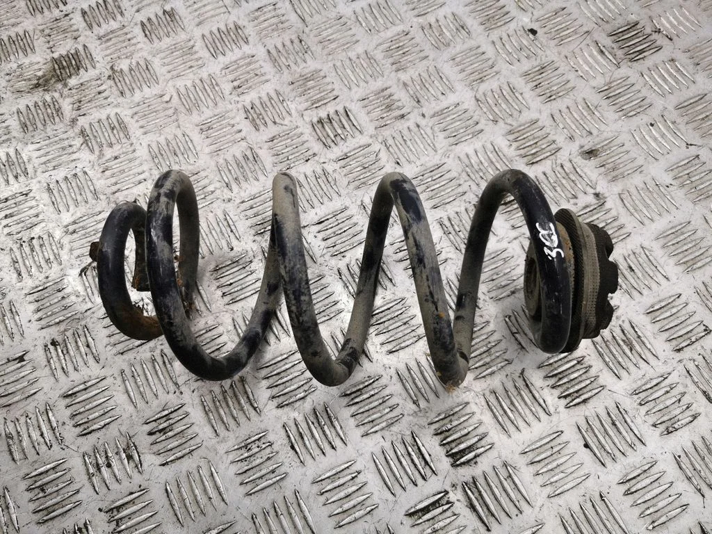 Rear coil spring
