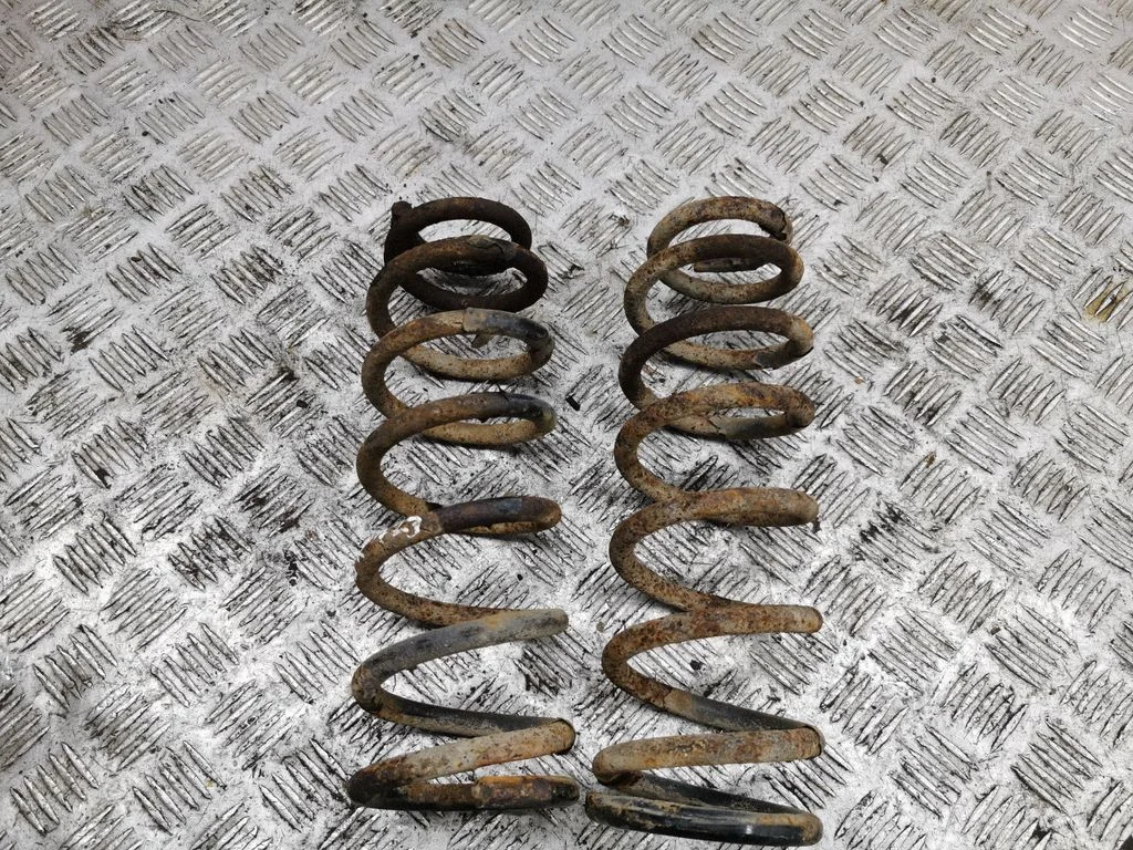 Rear coil spring