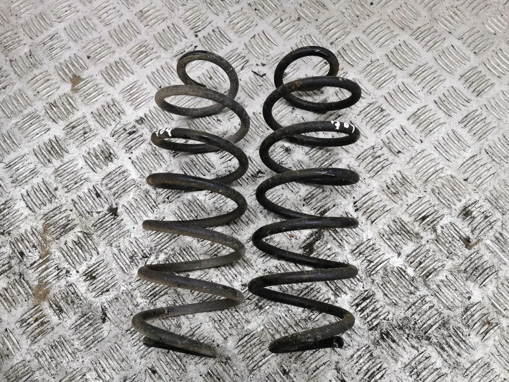 Rear coil spring