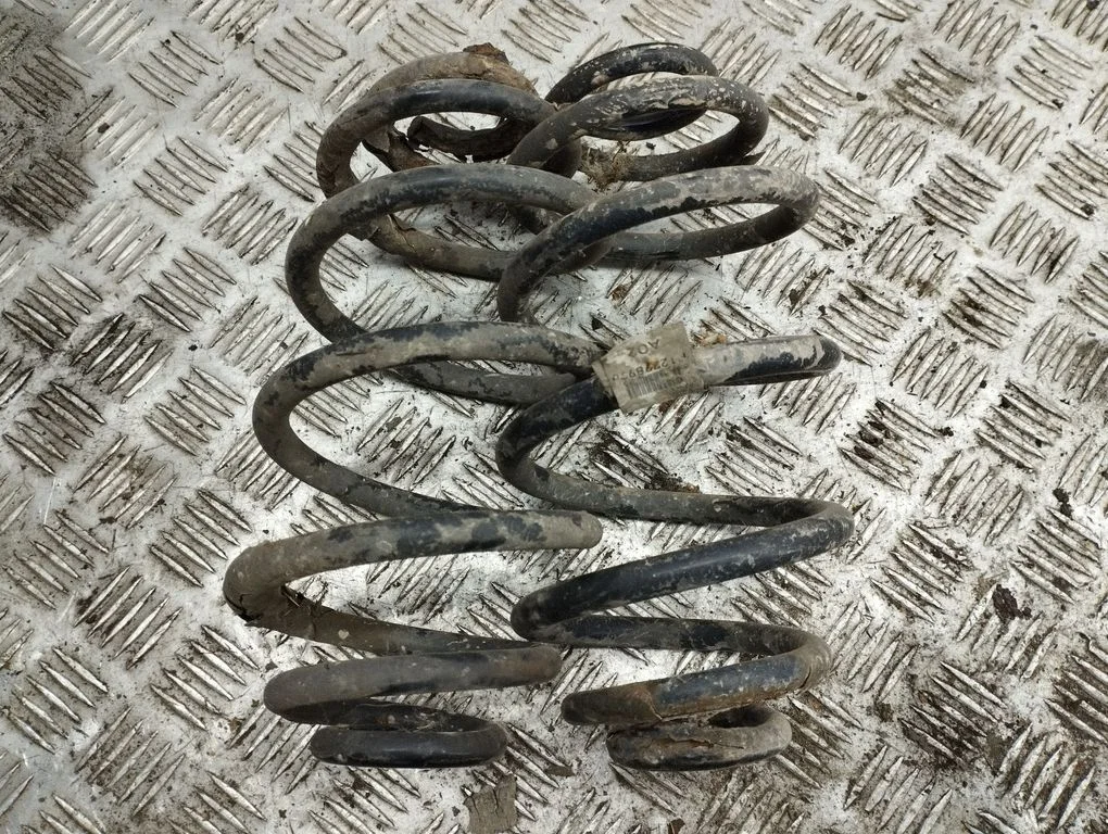 Rear coil spring