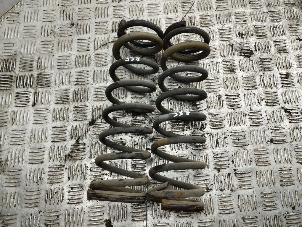 Rear coil spring