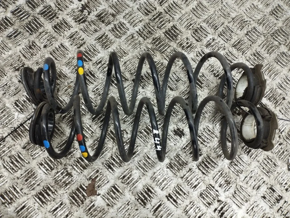 Rear coil spring