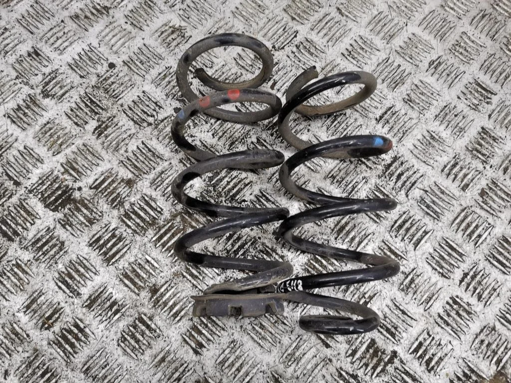 Rear coil spring