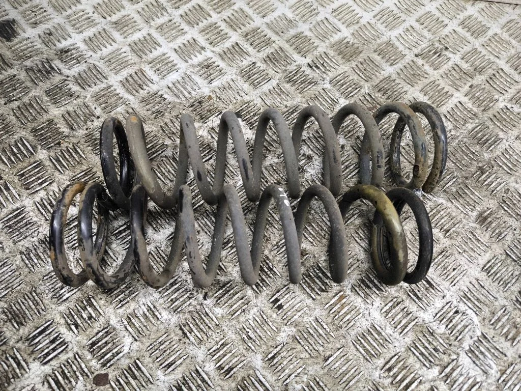 Rear coil spring