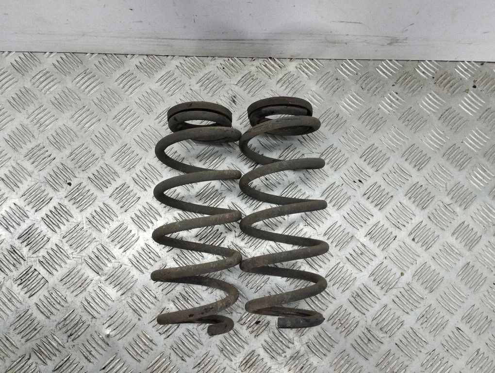 Rear coil spring