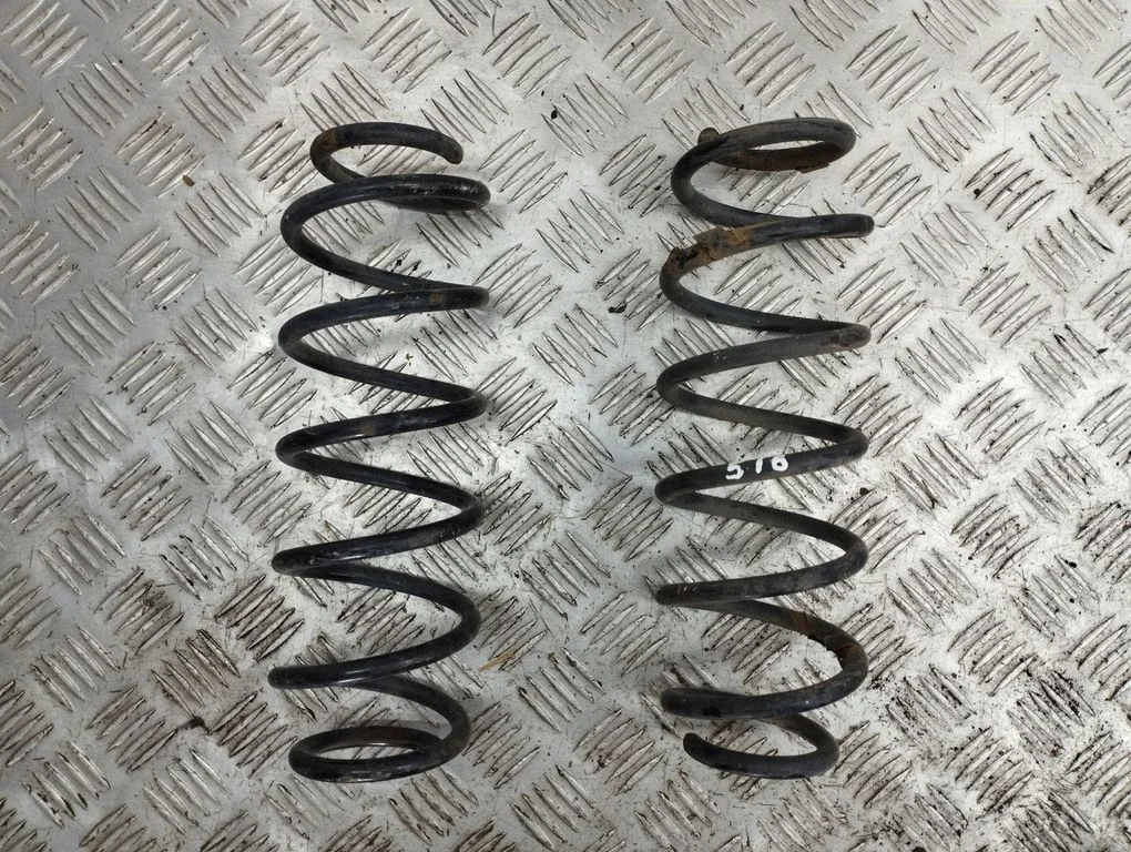 Rear coil spring