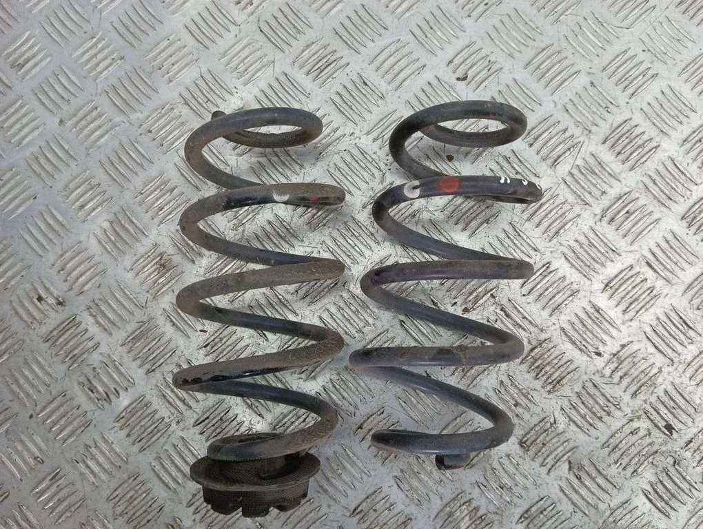 Rear coil spring