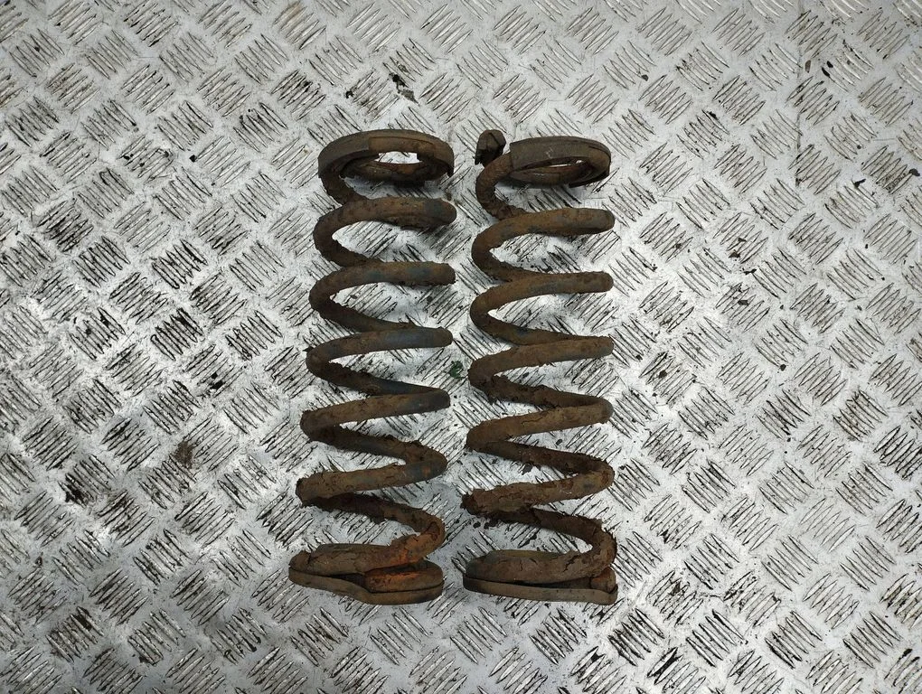 Rear coil spring