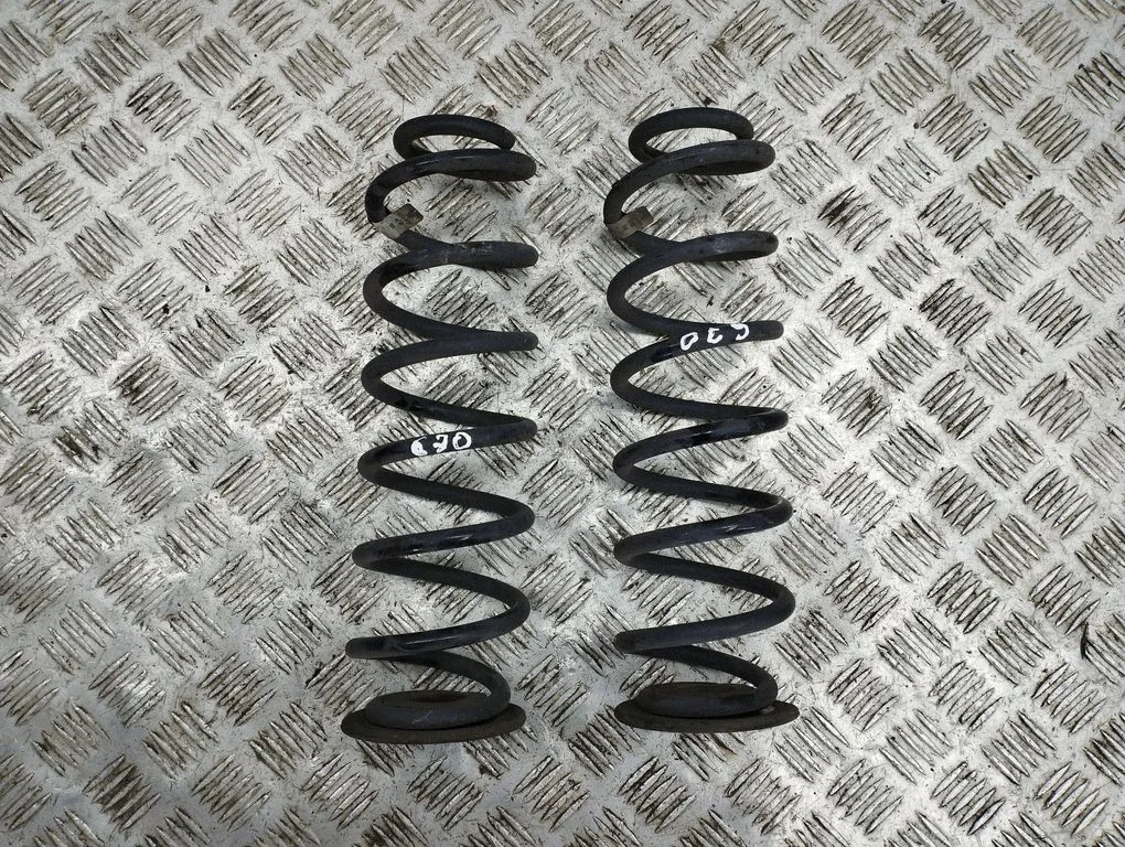 Rear coil spring