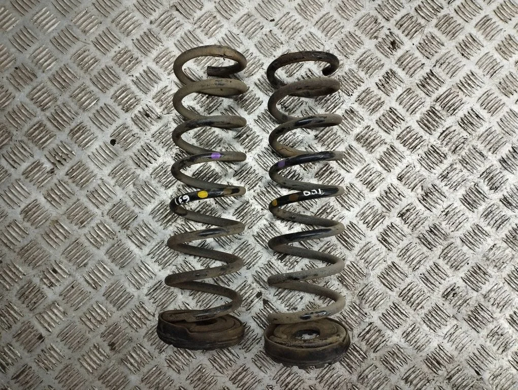 Rear coil spring