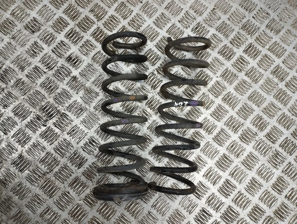 Rear coil spring