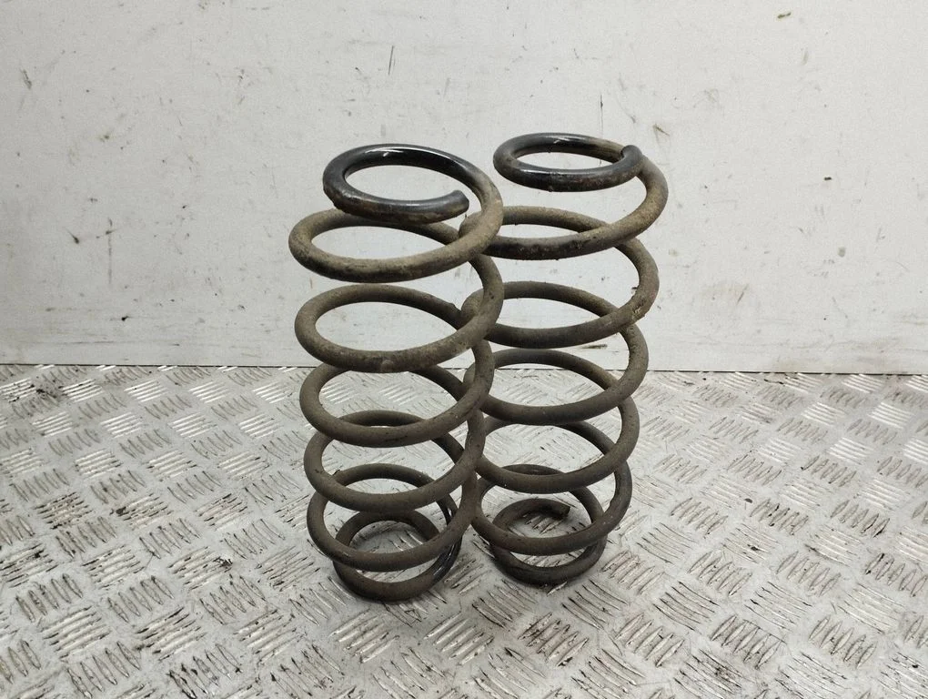 Rear coil spring
