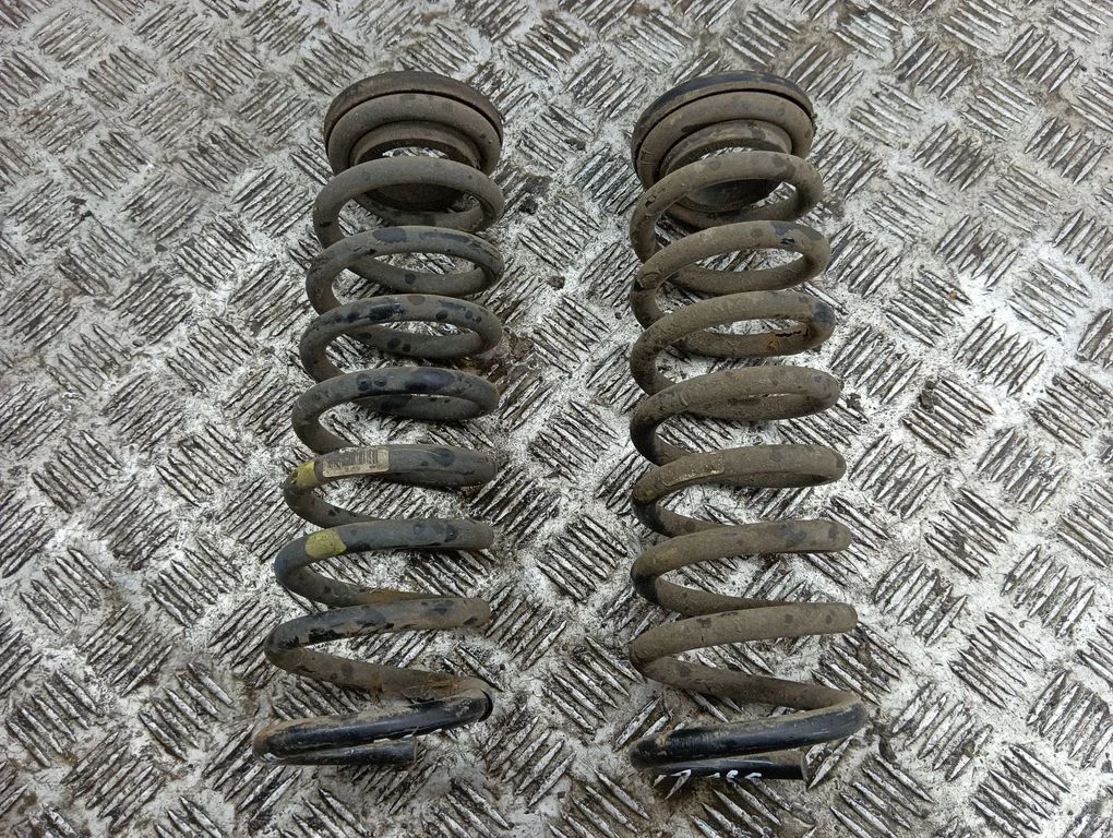 Rear coil spring