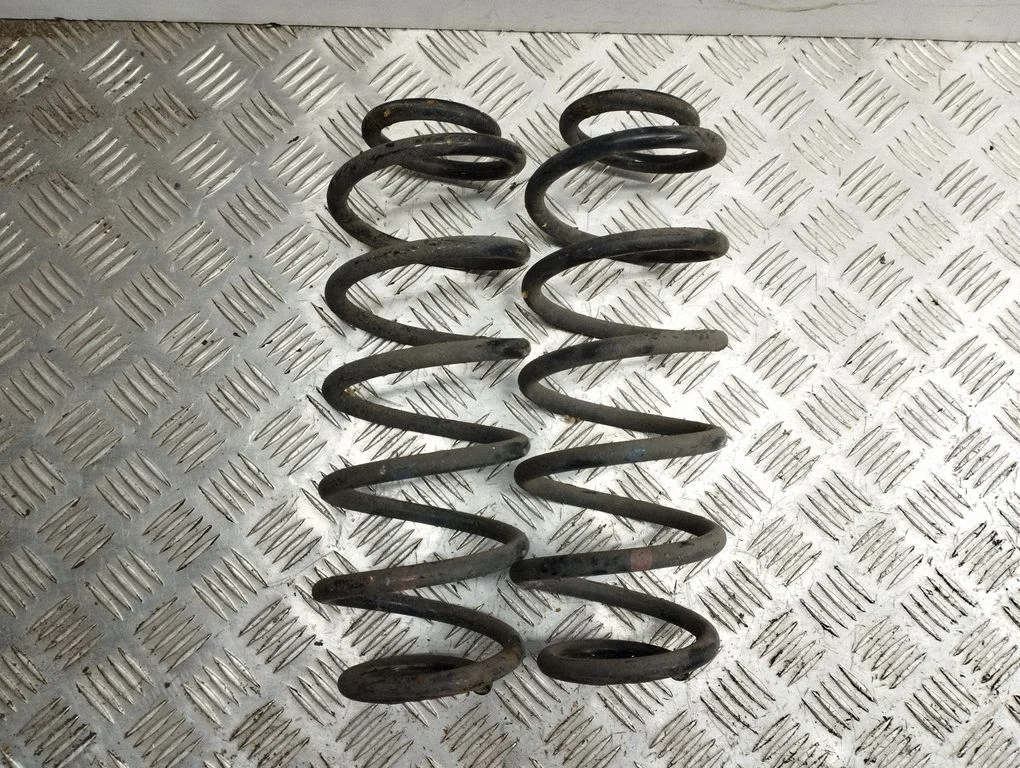 Rear coil spring