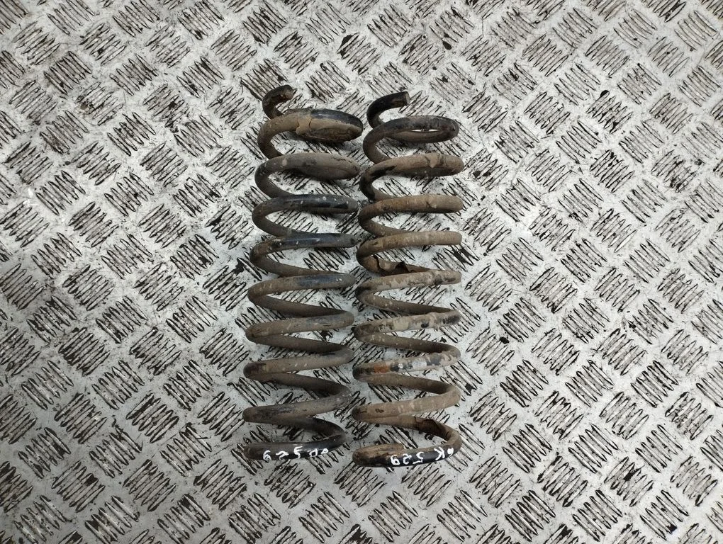 Rear coil spring