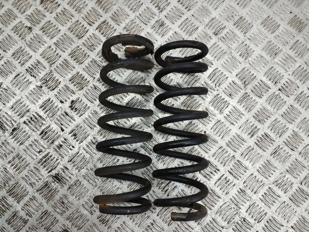 Rear coil spring