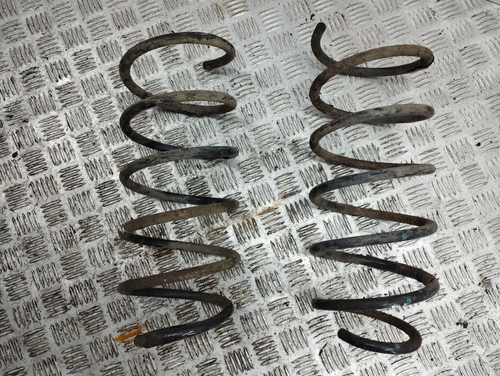 Rear coil spring