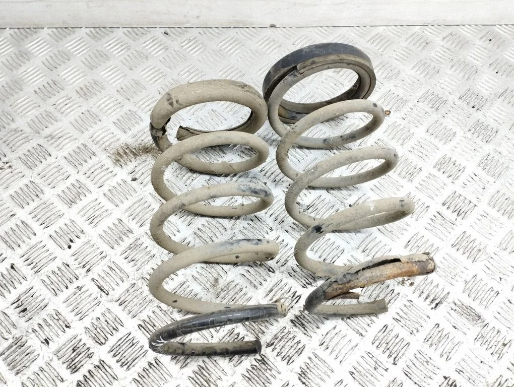 Rear coil spring
