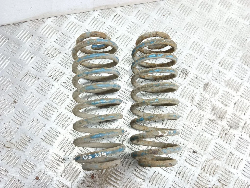 Rear coil spring