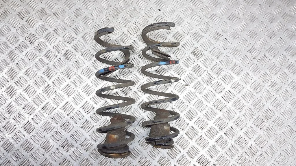 Rear coil spring
