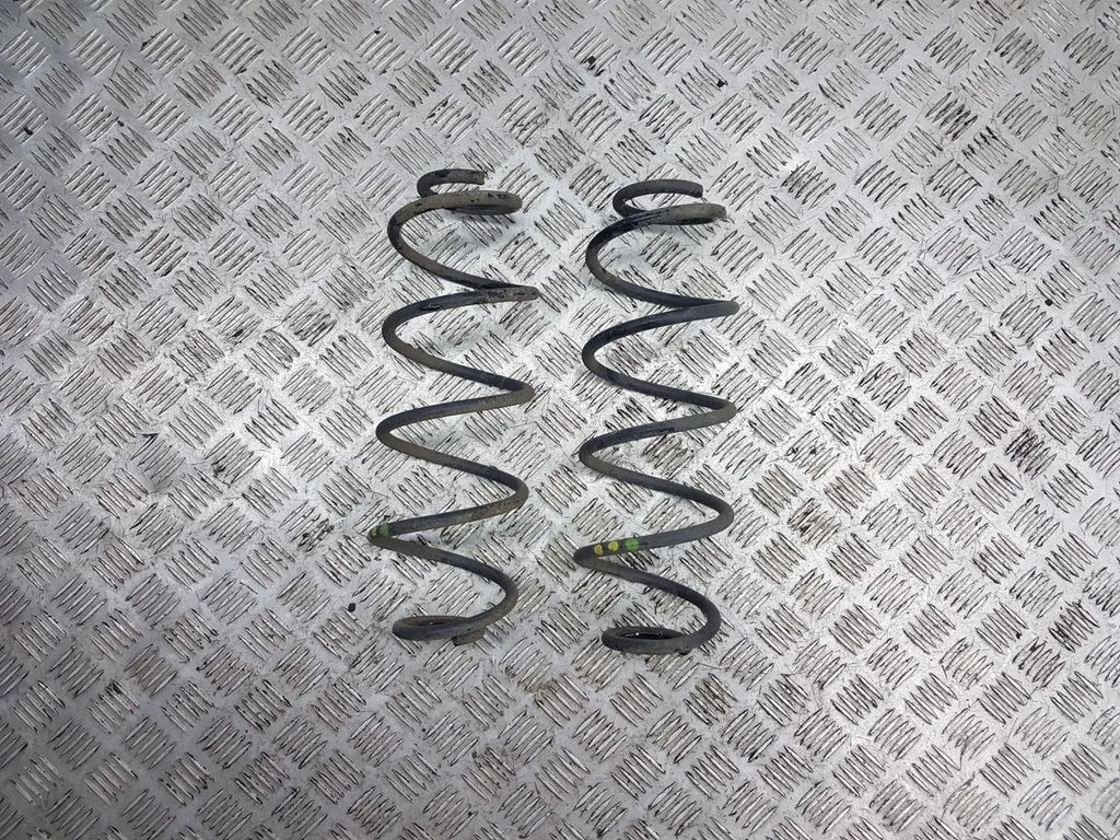 Rear coil spring