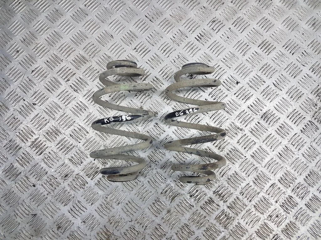 Rear coil spring