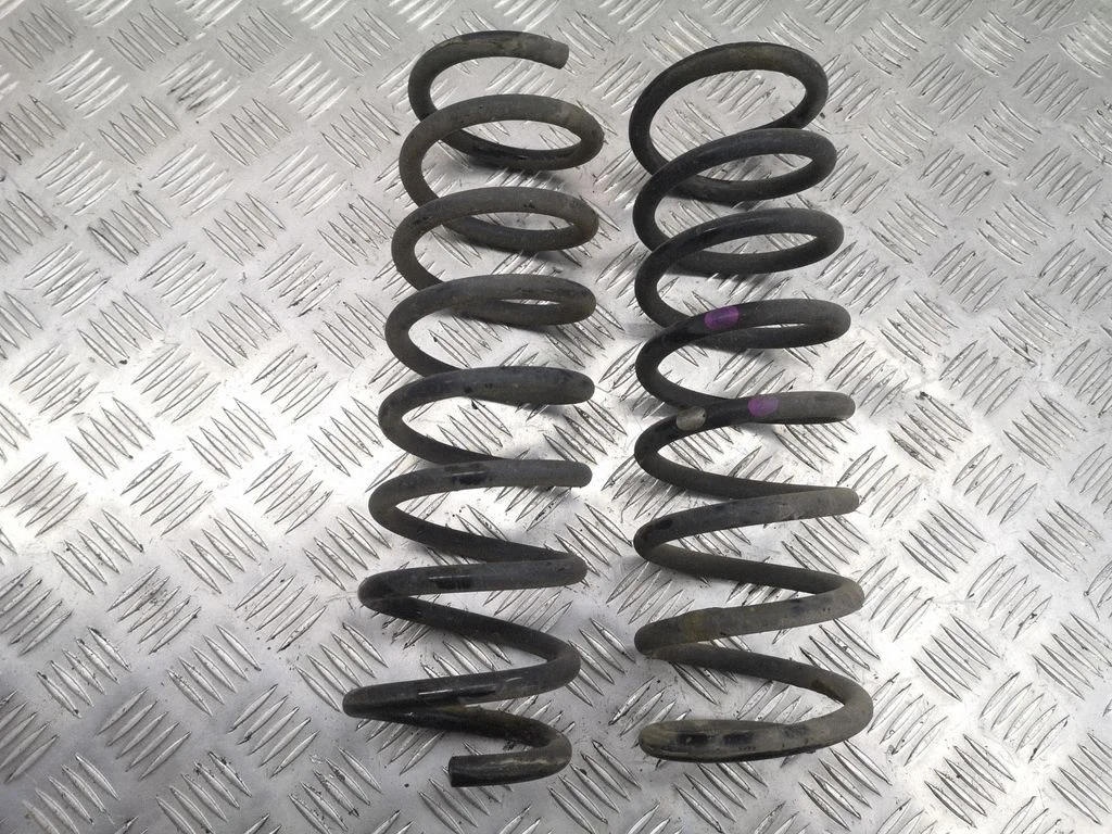 Rear coil spring