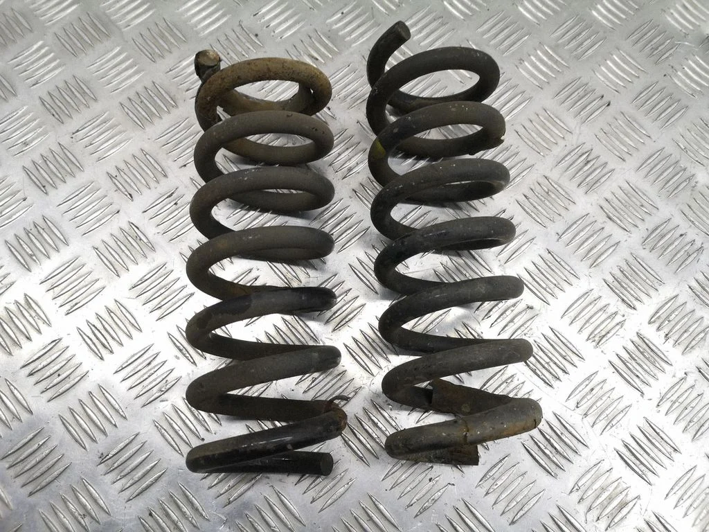 Rear coil spring