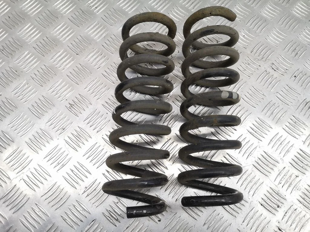 Rear coil spring