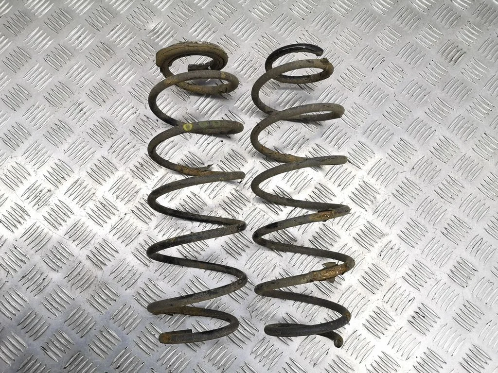 Rear coil spring
