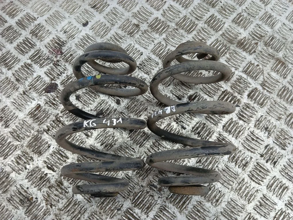 Rear coil spring