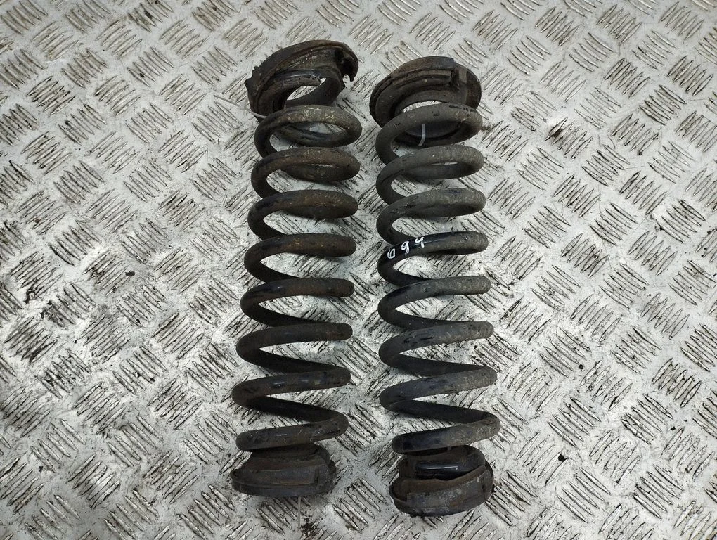 Rear coil spring