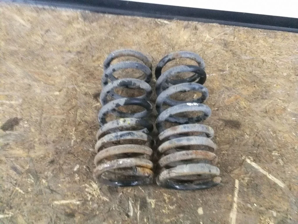Rear coil spring