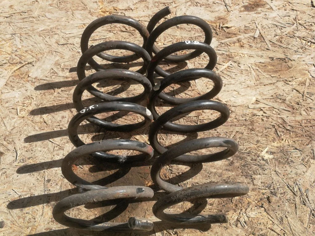 Rear coil spring