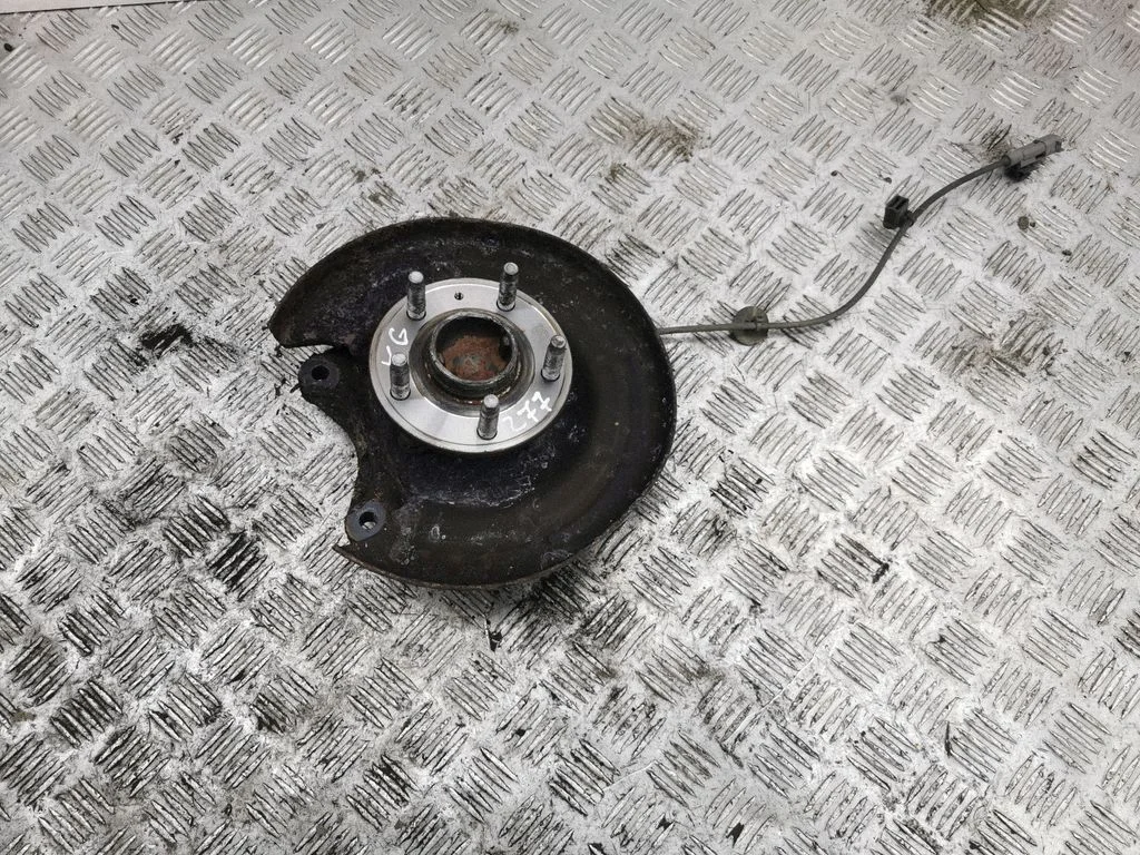 Rear wheel hub – left