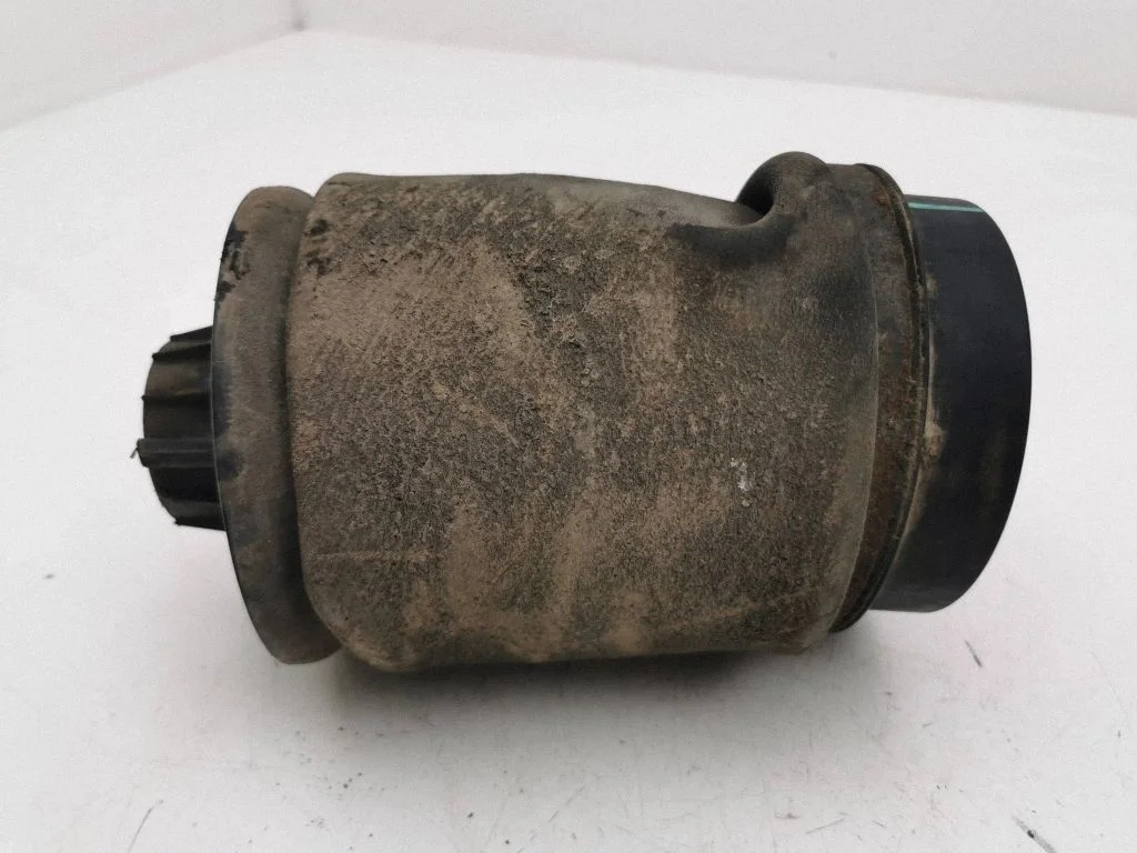 Rear air suspension bag/shock absorber R310716401