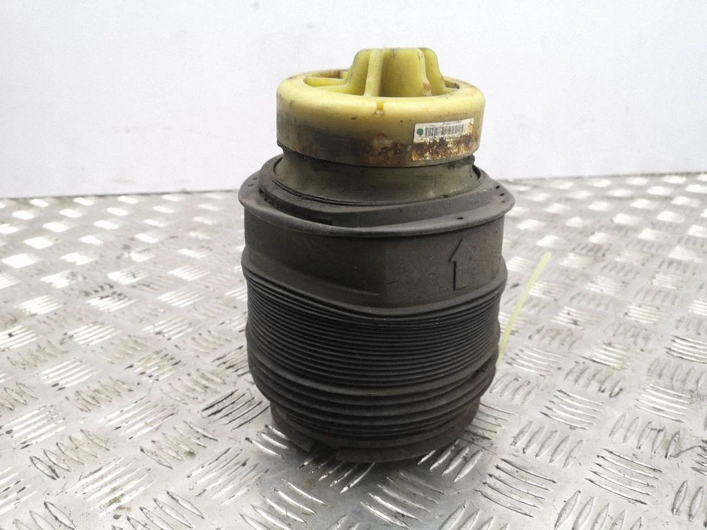 Rear air suspension bag/shock absorber R308613025