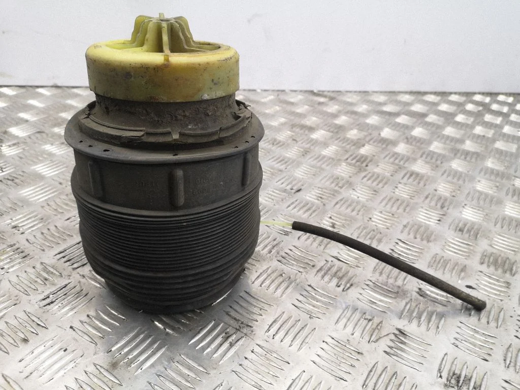 Rear air suspension bag/shock absorber R308613025