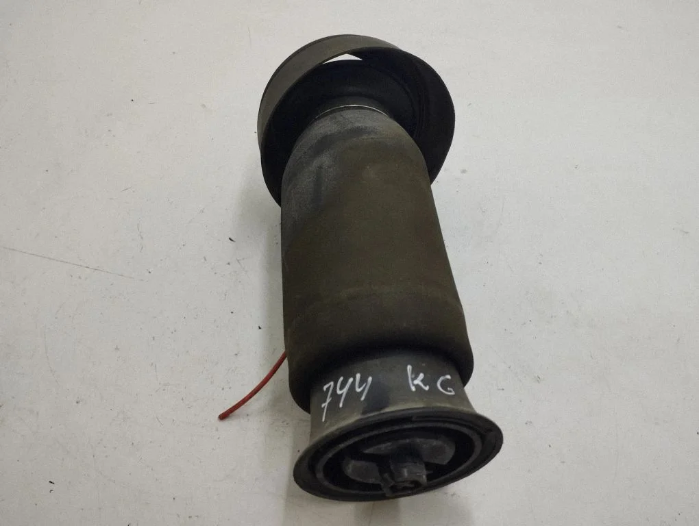 Rear air suspension bag/shock absorber 309512606