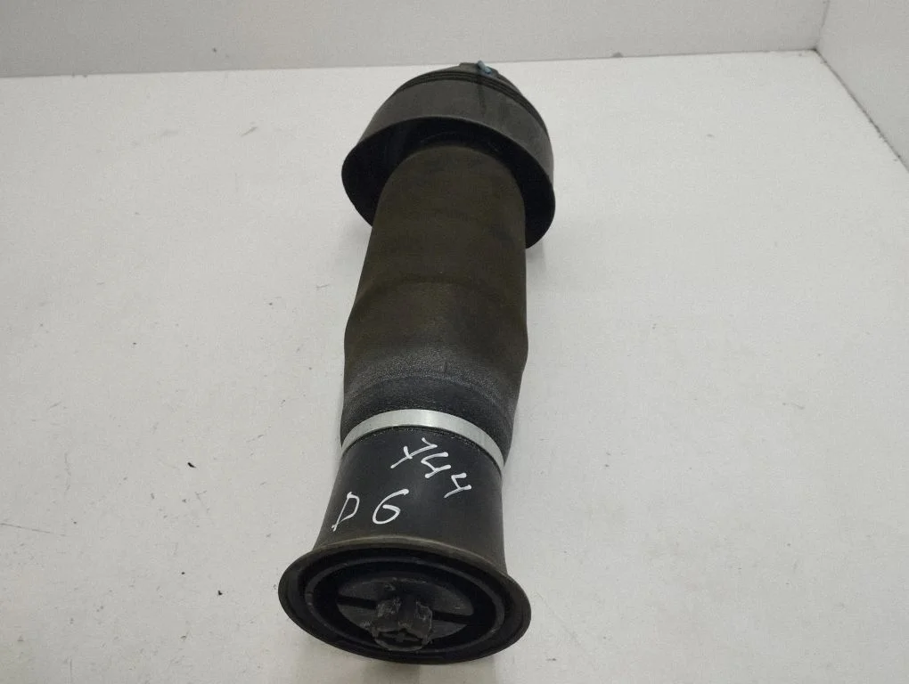 Rear air suspension bag/shock absorber 309512606