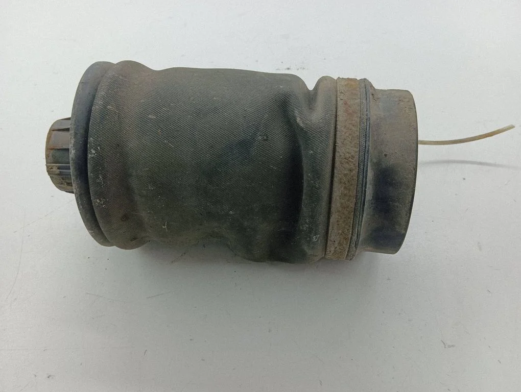 Aizmugurējais pneimatiskais (gaisa) spilvens – kreisā