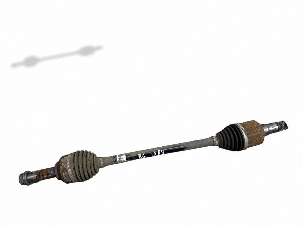 Aizmugurējā pusass 104416100D