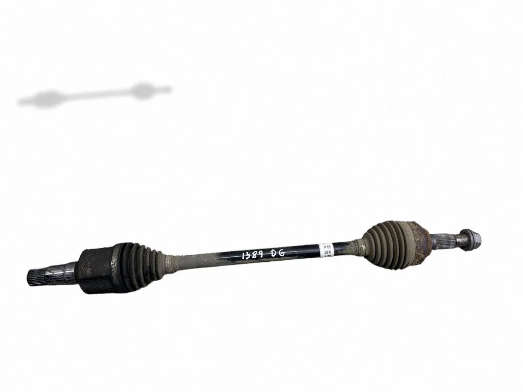 Aizmugurējā pusass 104416100D