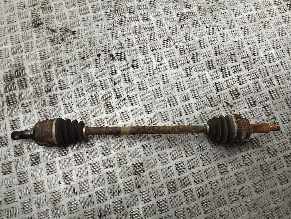 Tagumine pooltelg – vasak