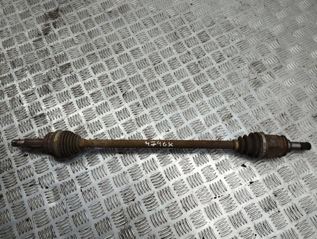 Aizmugurējā pusass – kreisā