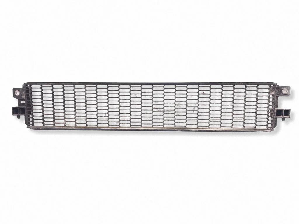 Front bumper lower grill