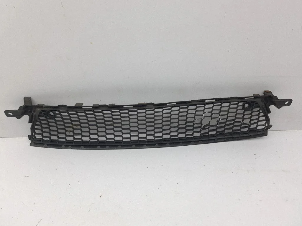 Front bumper lower grill