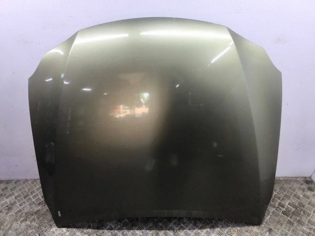 Engine bonnet/hood